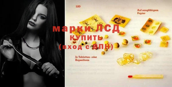индика Абаза