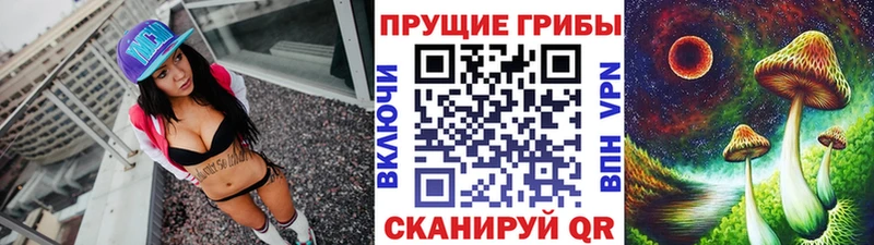 что такое   mega tor  Галлюциногенные грибы ЛСД  Ступино 